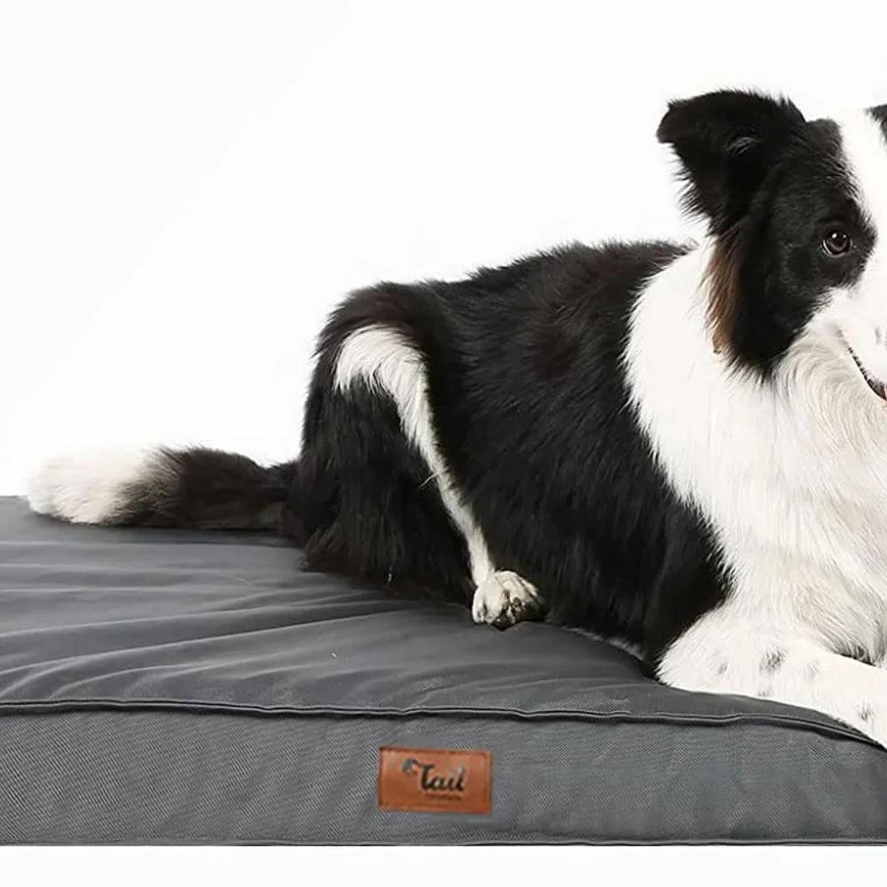 Orthopedic Waterproof Dog Beds for Large Dogs